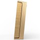 Bang & Olufsen Beosound Level Gold Bang & Olufsen Beosound Level Gold