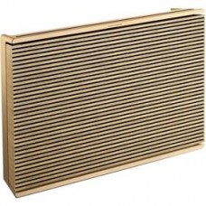 Bang & Olufsen Beosound Level Gold