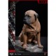 Rocky: Rocky I Statue
