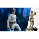 Luke Skywalker Bespin Deluxe Version 1:6 Scale Figure