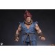 Street Fighter: Akuma & Dhalsim 1:10 Scale Statue Set