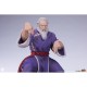 Street Fighter: Zangief & Gen 1:10 Scale Statue Set