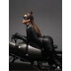 The Dark Knight Rises - Catwoman 1:3 Scale Statue The Dark Knight Rises - Catwoman 1:3 Scale Statue