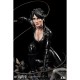 Catwoman - Rebirth 1/6 Premium Collectibles Statue